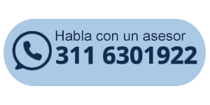boton chat